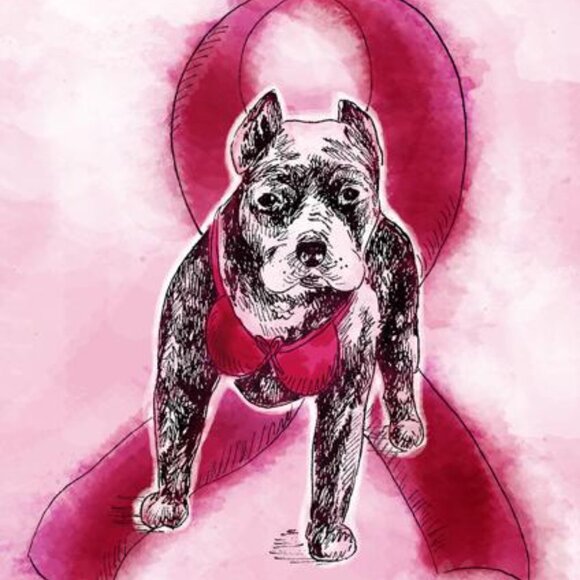 Pitbulls and Breast Cancer Awareness - Picture 2 of 3